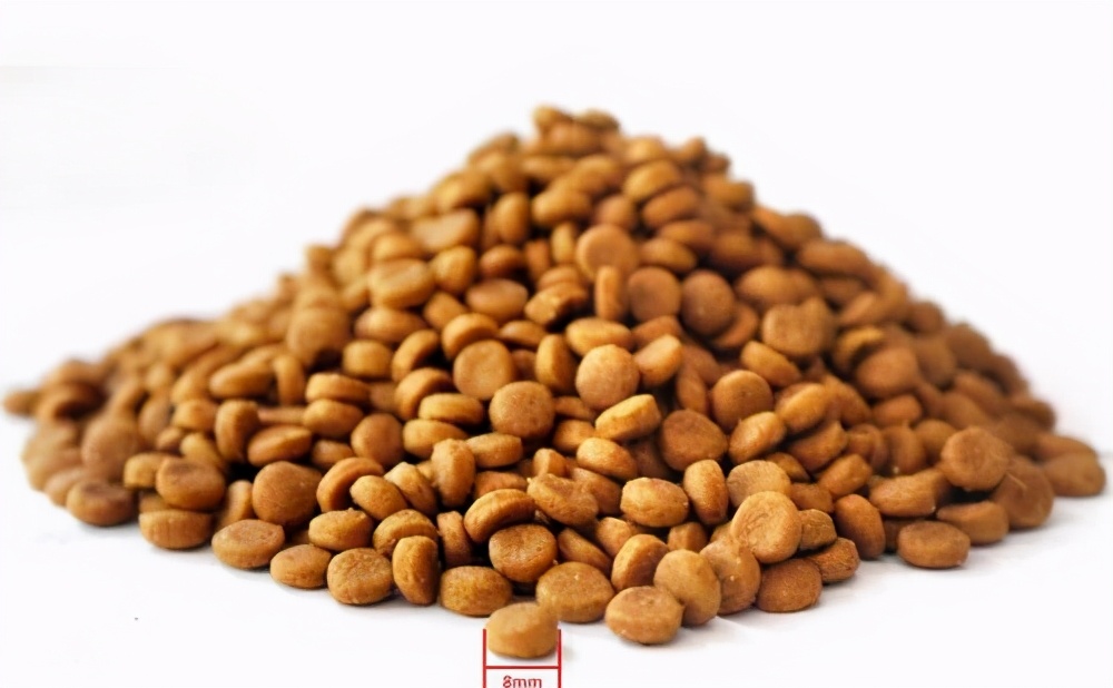 6款热门猫粮推荐,猫粮推荐猫粮排行