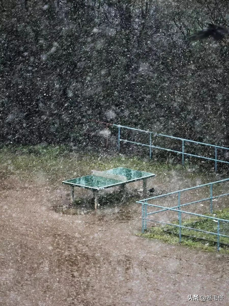 日本摄影师拍乒乓球桌获奖,日本摄影师拍乒乓球桌