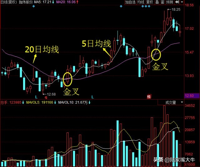 最准确的周k线选股方法,天眼地量选股公式源码