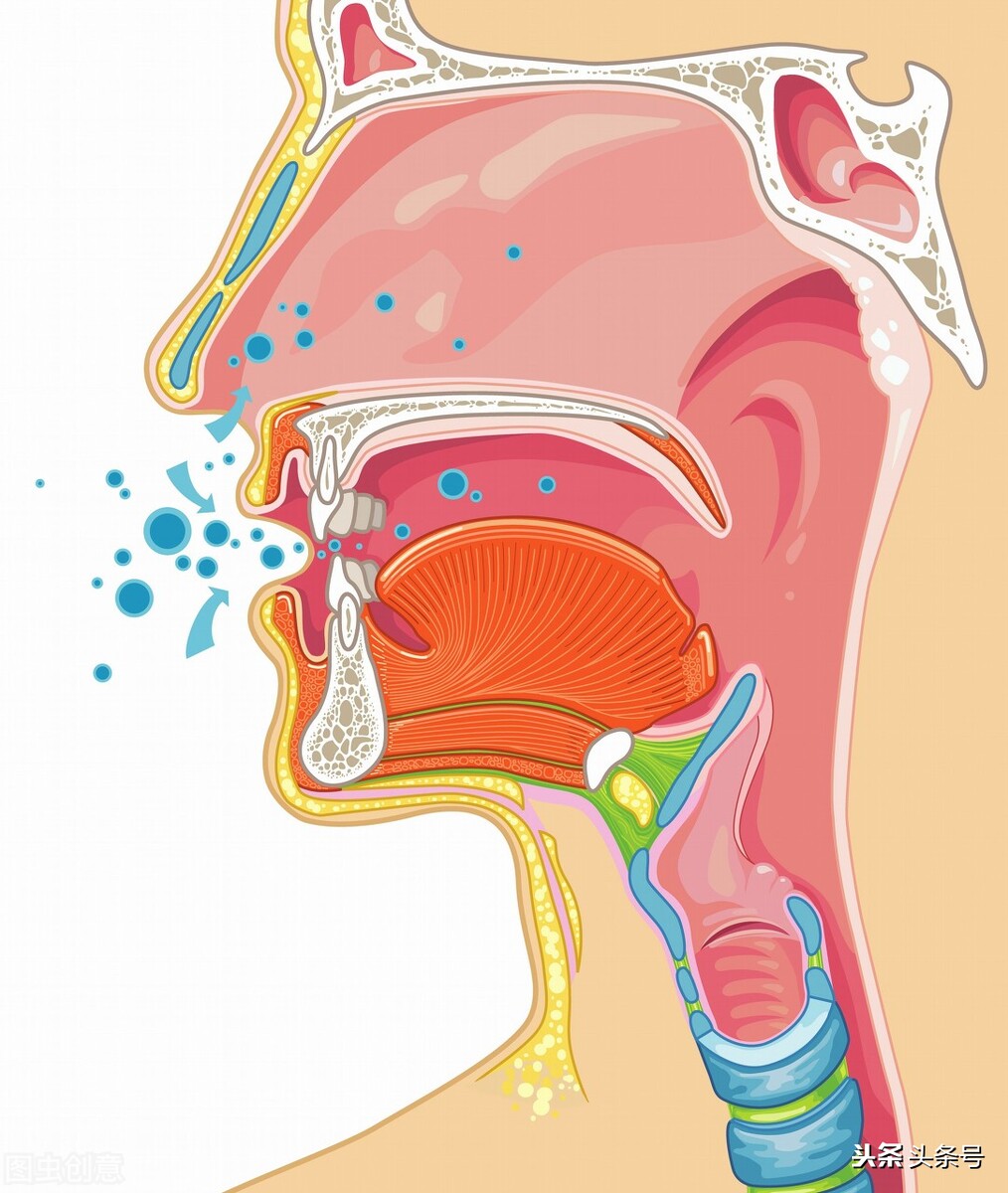小孩流涕发热咳嗽吃什么药,小儿夜间咳嗽频繁流涕发热