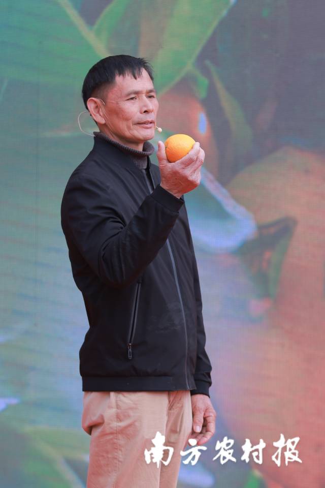 赣南脐橙故事生动视频,脐橙产业发展故事