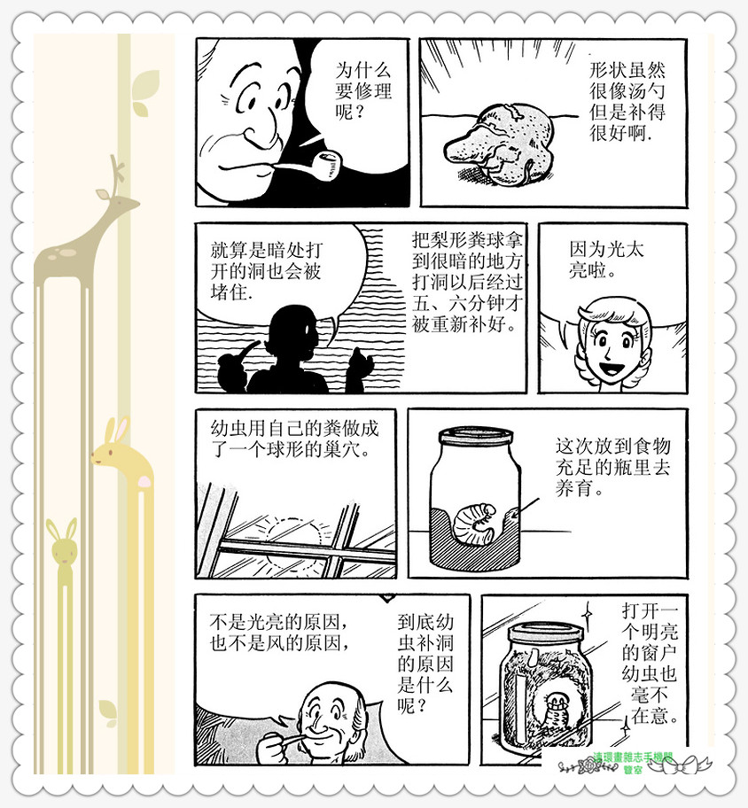 昆虫记法布尔正版全集,昆虫记法布尔阅读答案