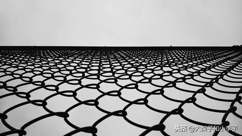 moto照相,moto拍照效果