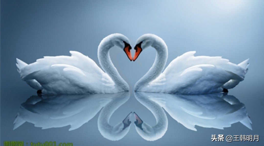 五分钟意外结局,推理小说一口气看完系列已完结