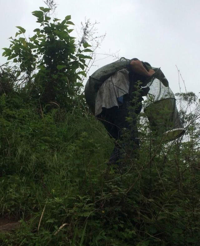 钓鲶鱼用什么饵最好呢,冬季钓鲶鱼的方法和技巧