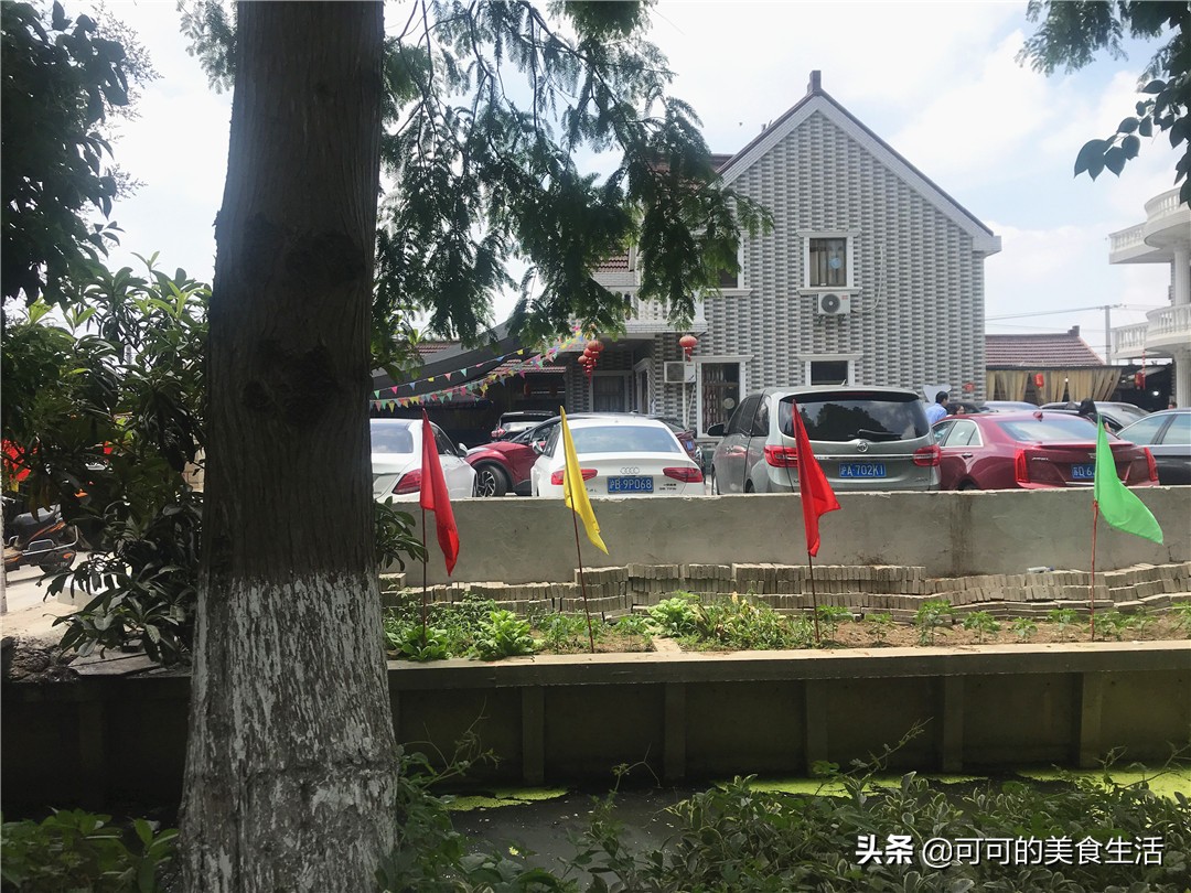 上海崇明岛土鸡,去崇明岛你吃过几道农家菜