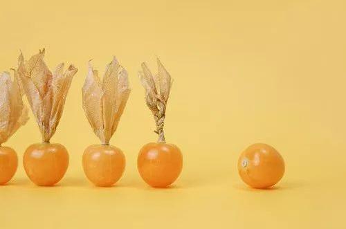 原产中国，却在国外大火，我们究竟差在哪里？