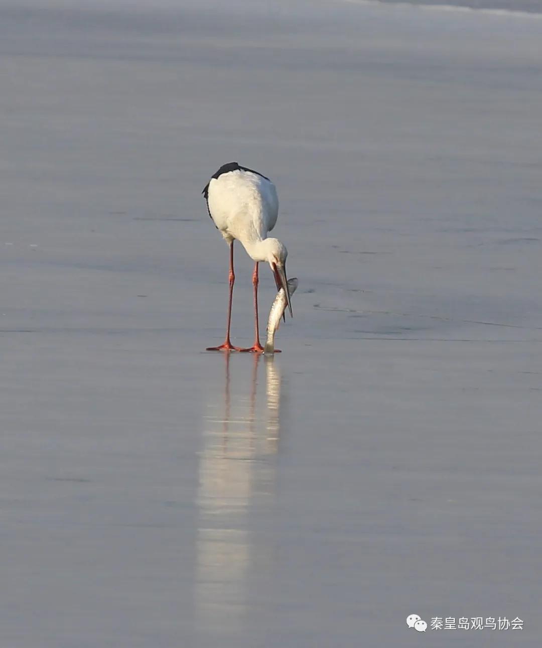 爱心让世界变得更美好作文,爱心让冬日暖意融融