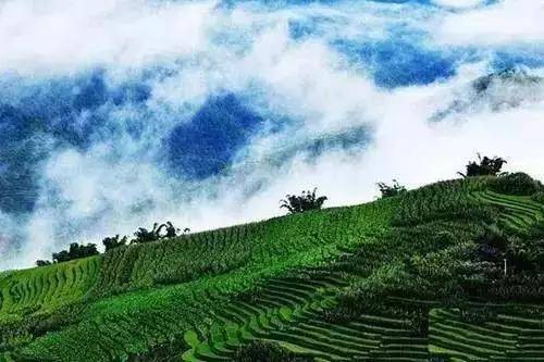 1月带娃云南小众旅游,云南小众旅游2日游