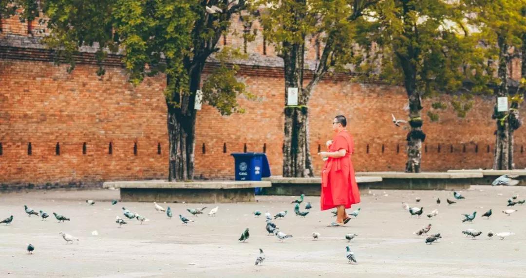 在清迈逛夜市感受泰国人慢生活,去清迈享受放下脚步的慢生活