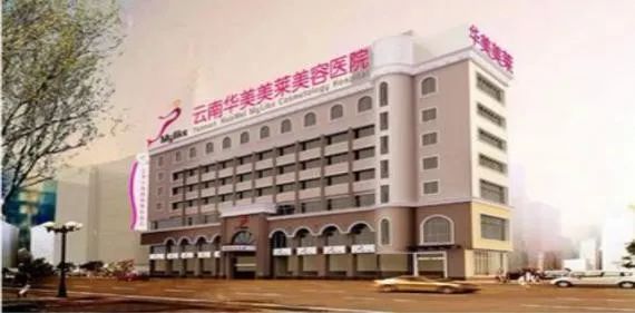 莆田历史文化的典故,莆田系家族一览表