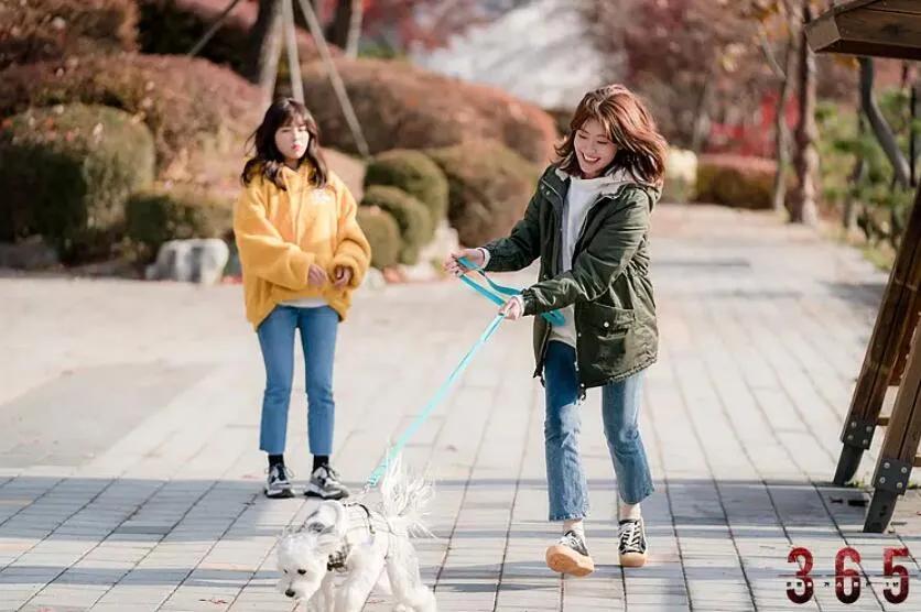 一集死一个人的电视剧高分,一集死一个的热血番