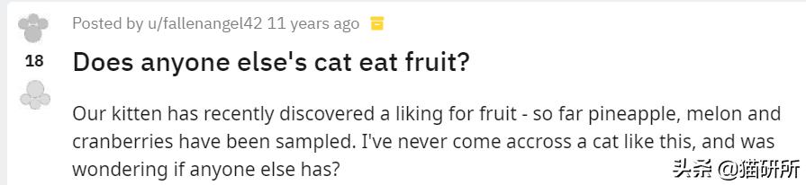 猫属于肉食动物一般不吃什么,猫咪是肉食动物为什么也吃饼干