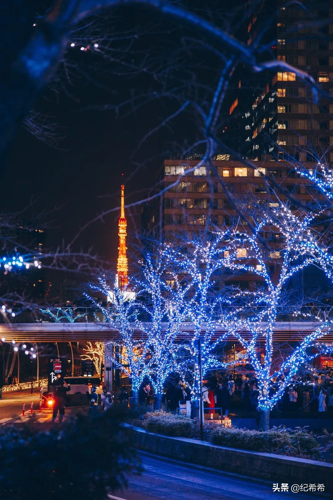 小巷子里藏着最好吃的美食,东京美食街游玩攻略