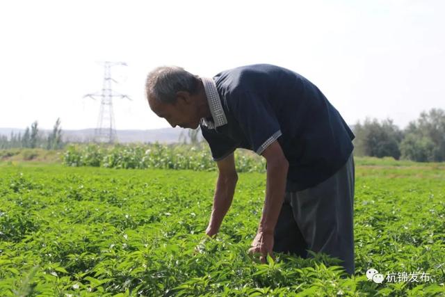閯傚皵澶氭柉鍔犲ぇ鍐滄潙鐢靛晢鎵舵寔,閯傚皵澶氭柉鐢靛晢鎵惰传