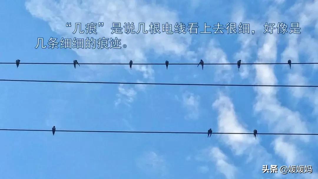 三年级下册第二课燕子的优美语句,燕子课文三年级下册同步练习答案