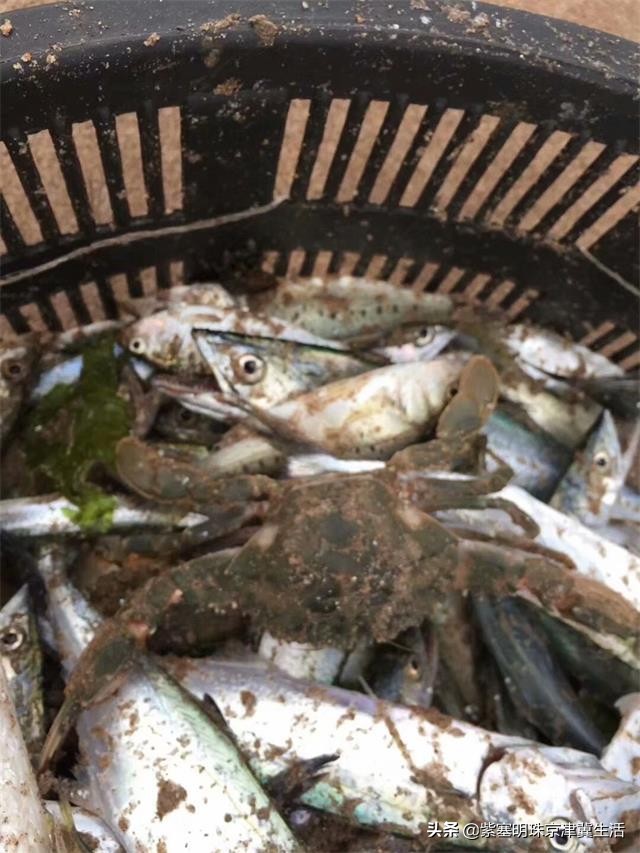 辽宁东戴河海景房,辽宁东戴河观海度假村