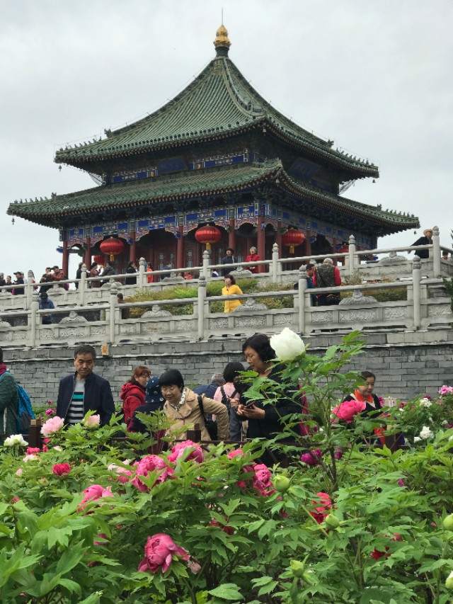 古都寻琴记全部视频,文化地理寻琴记