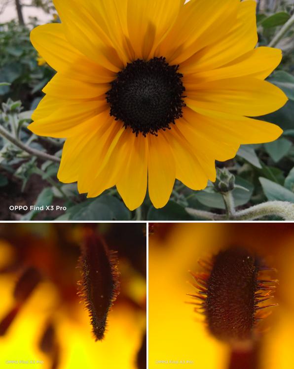 60倍显微镜能看皮肤,60倍显微镜下的微观世界