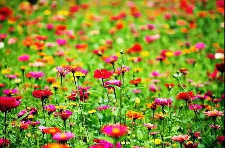 晚上的海棠湾,海棠湾真的很美