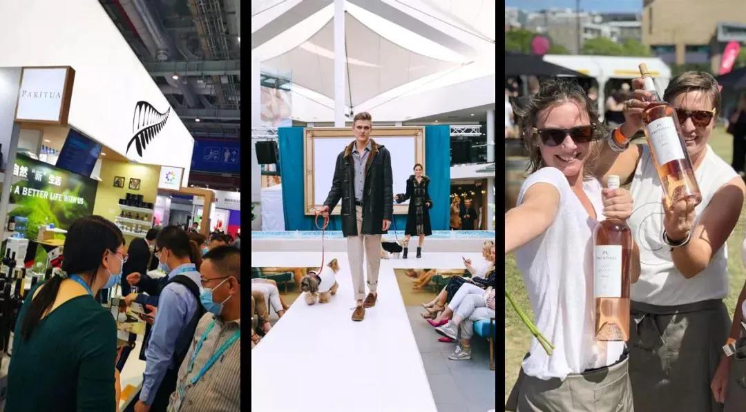 移民新西兰比较好的工作,新西兰移民华人需要工作吗