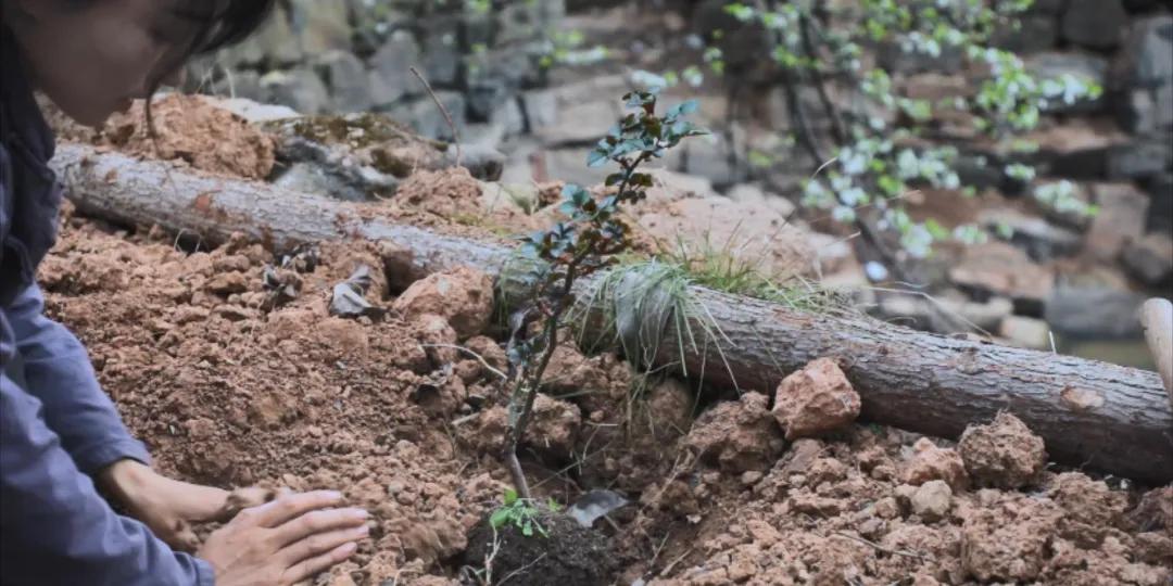 番茄锅酸甜番茄,超浓郁的番茄火锅吃一次就爱上了