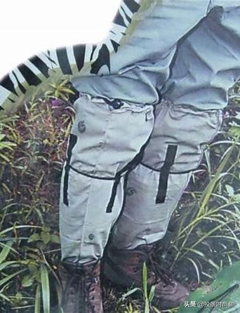 50种袜子,各类型的袜子区别图解大全