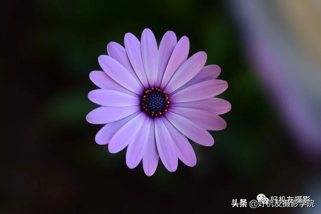 手机闪光灯的缺点,手机闪光灯怎么用效果最好