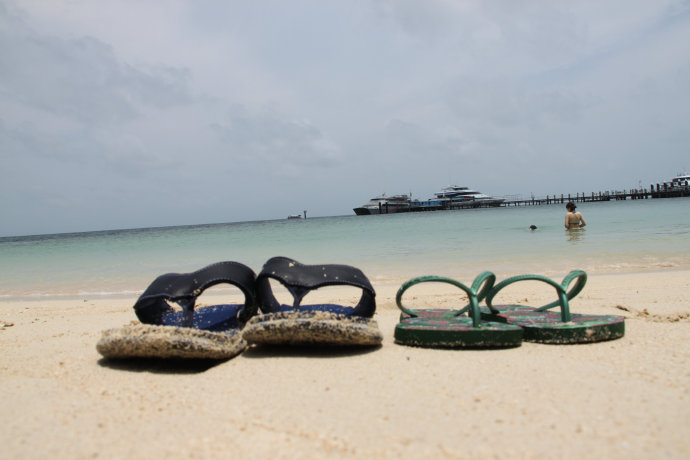 澶у牎绀佺儹姘旂悆,澶у牎绀佹捣娲嬬悆