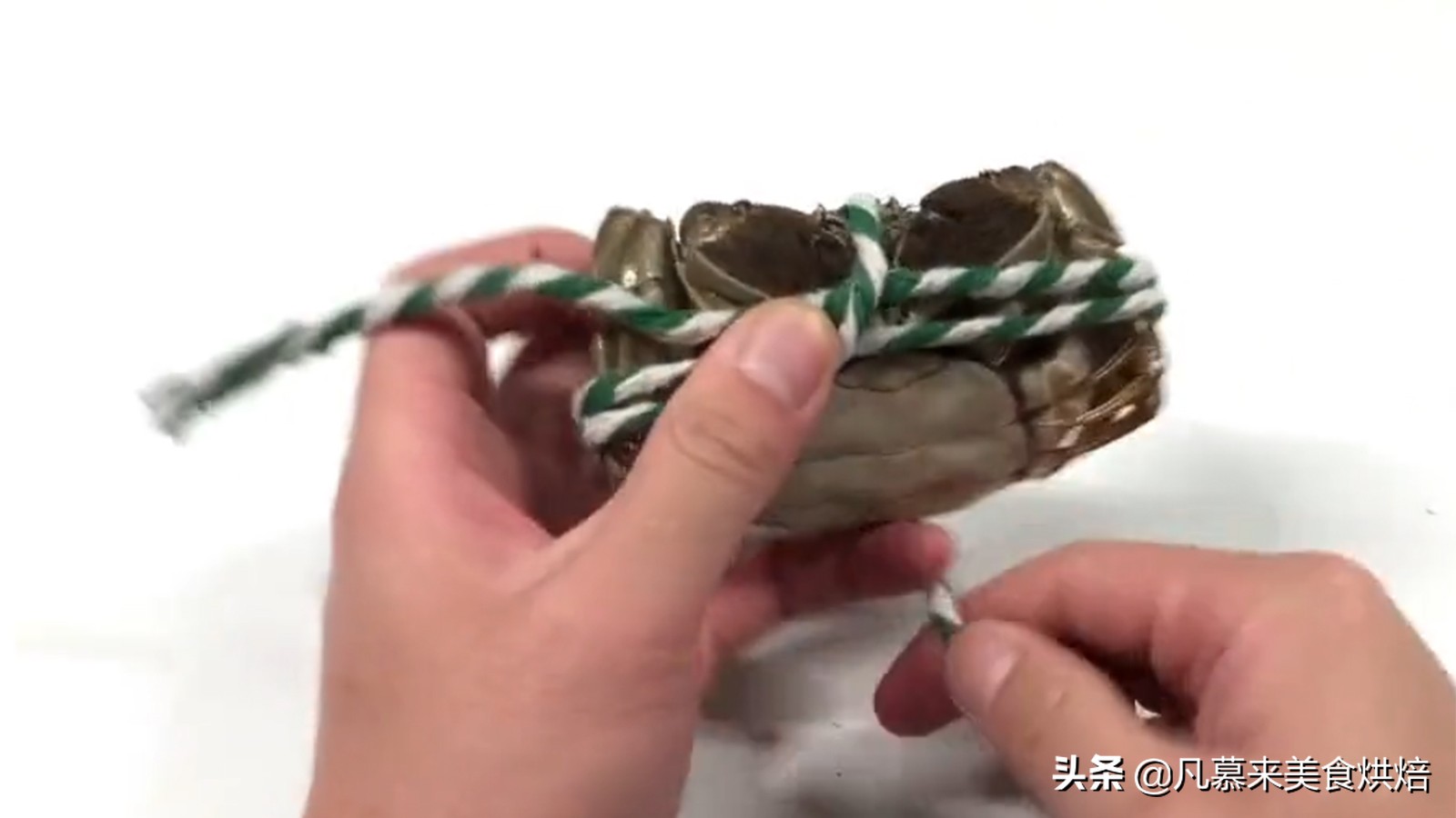 正确的螃蟹绑法,绑螃蟹技巧教学