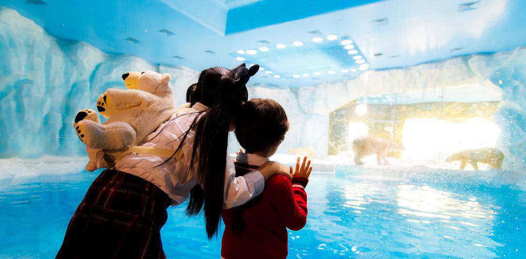 珠海长隆海洋王国游玩省钱攻略,珠海长隆海洋王国游玩攻略时间表