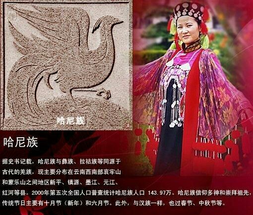 油管看中国56个民族传统服饰,56个民族女性服饰图片大全