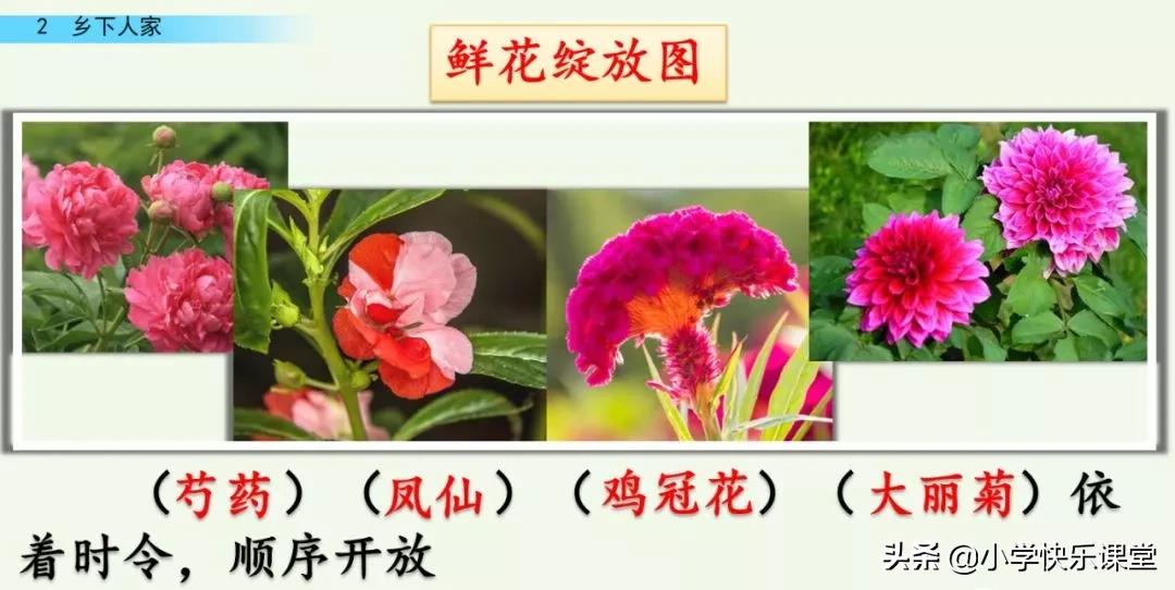 部编四年级下册语文乡下人家练习,部编版四年级下乡下人家同步练习