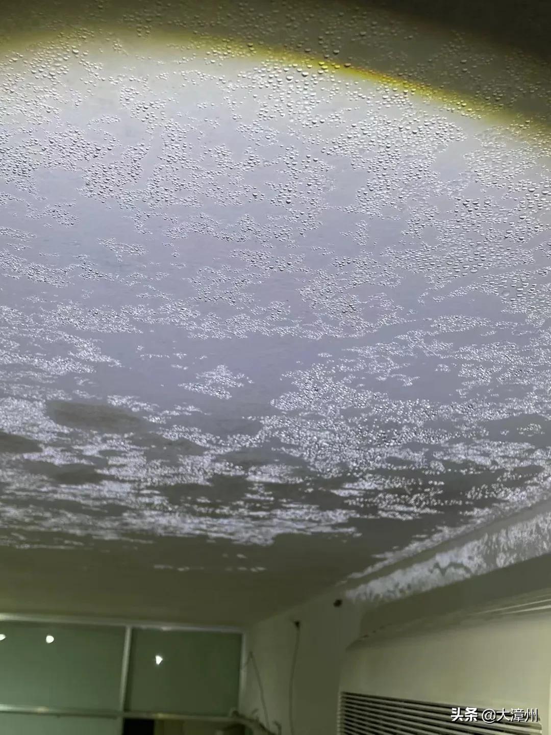 漳州市龙海石码美景,龙海石码全景美景