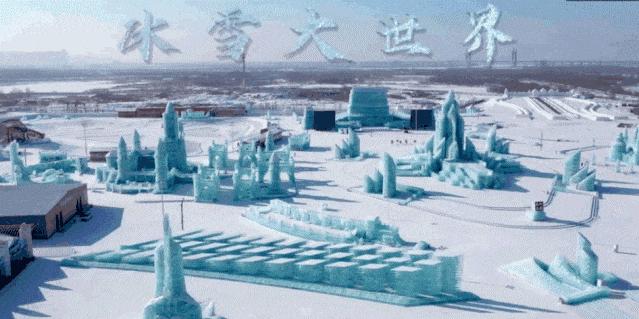 龙虾不吃东西,龙虾没人吃