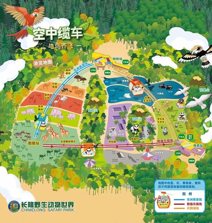 广州长隆野生动物世界的奇幻之旅,番禺长隆野生动物园1天旅游攻略