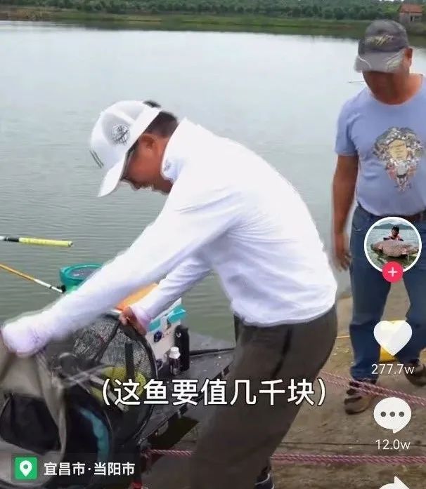 老男子钓鱼抖音,在抖音上钓鱼的男人