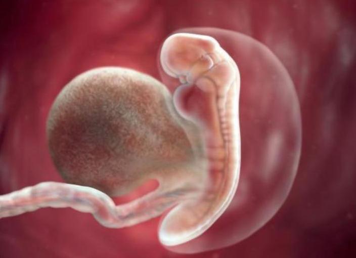 孕期上厕所会挤压到胎儿吗,孕妇走路多了会导致胎儿缺氧吗