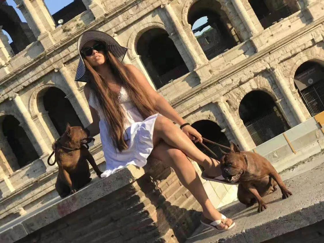 重庆九龙坡川东猎犬基地,川东重庆犬