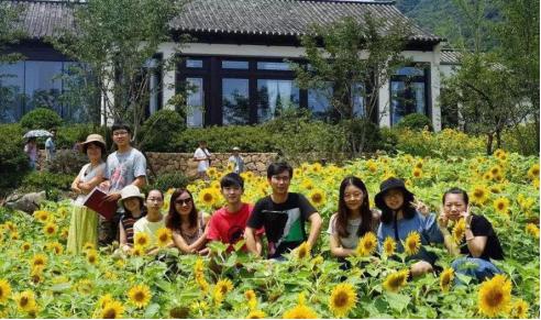 合肥蓝城地产楼盘,合肥第四代住宅蓝城