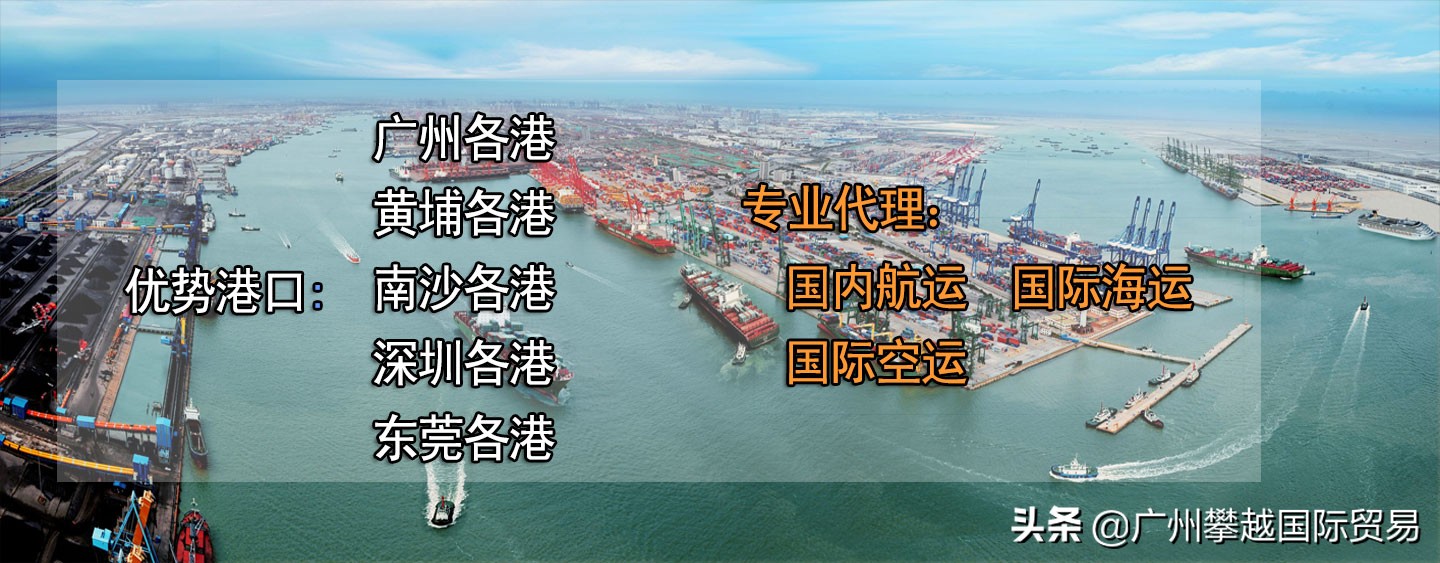 扇贝壳攻略,海关扇贝壳