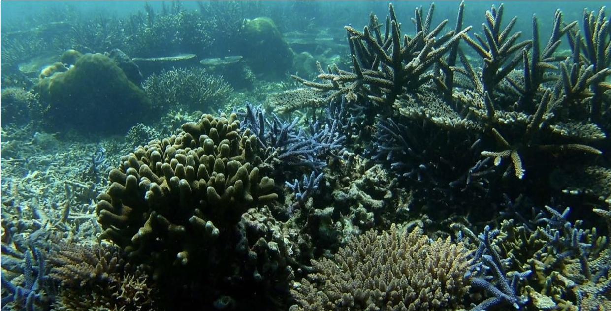 出发!风下之乡-马来西亚的蓝色天堂沙巴