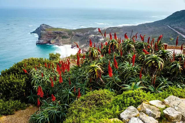 世界公认最美的国家,世界最美的十个国家