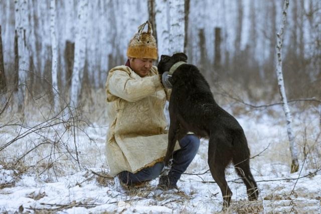 鄂伦春猎犬中国北方的守山犬,猎犬鄂伦春