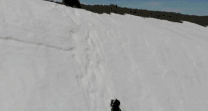 被囚34年取精，被迫亲手杀死爱子，最后只能挣扎着死去…