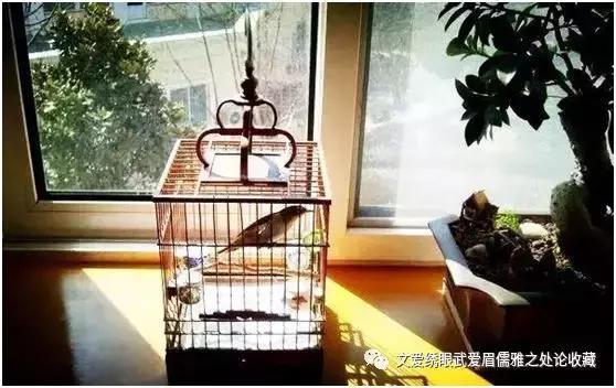 文爱绣眼武爱眉儒雅之处论收藏