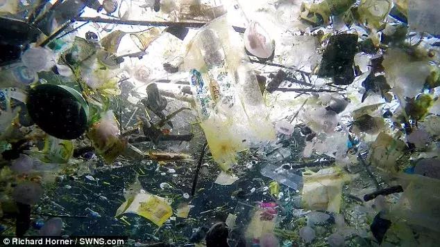 巴厘岛最垃圾的海滩,巴厘岛度假胜地