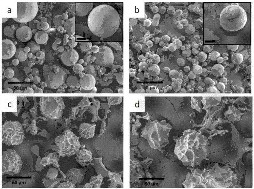 骨灰多年后会变成什么样,骨灰长时间会变成什么样
