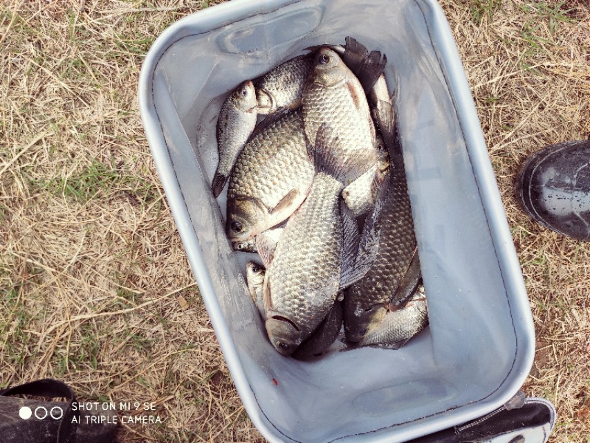 钓鱼新手入坑指南,新手钓鱼入坑建议路滑吗