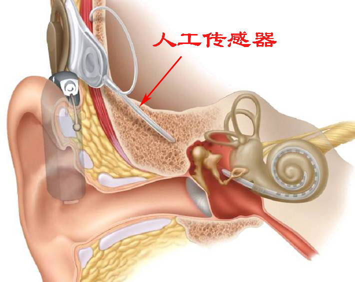 为什么录音听自己的声音很奇怪 (为什么听录音会很讨厌自己的声音)